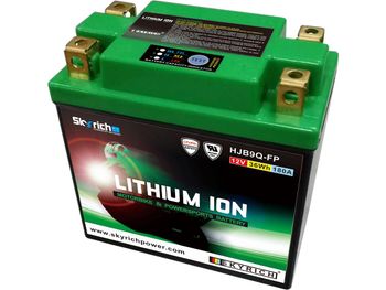 Batterie SKYRICH Lithium Ion LIB9