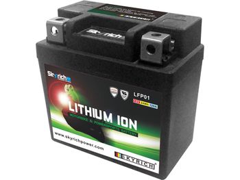 Batterie SKYRICH Lithium Ion LFP01